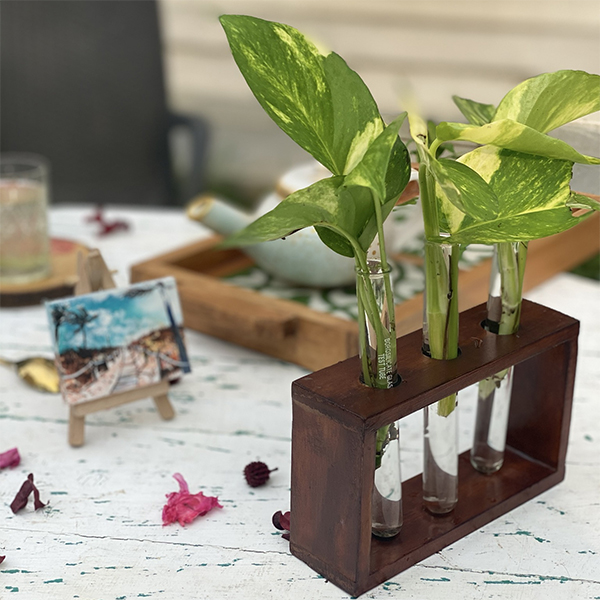 Indian Handicrafts Online - Buy Wooden Planters