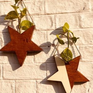 Handmade “Star”-shaped Wooden Hanging Planter (Cream Line)