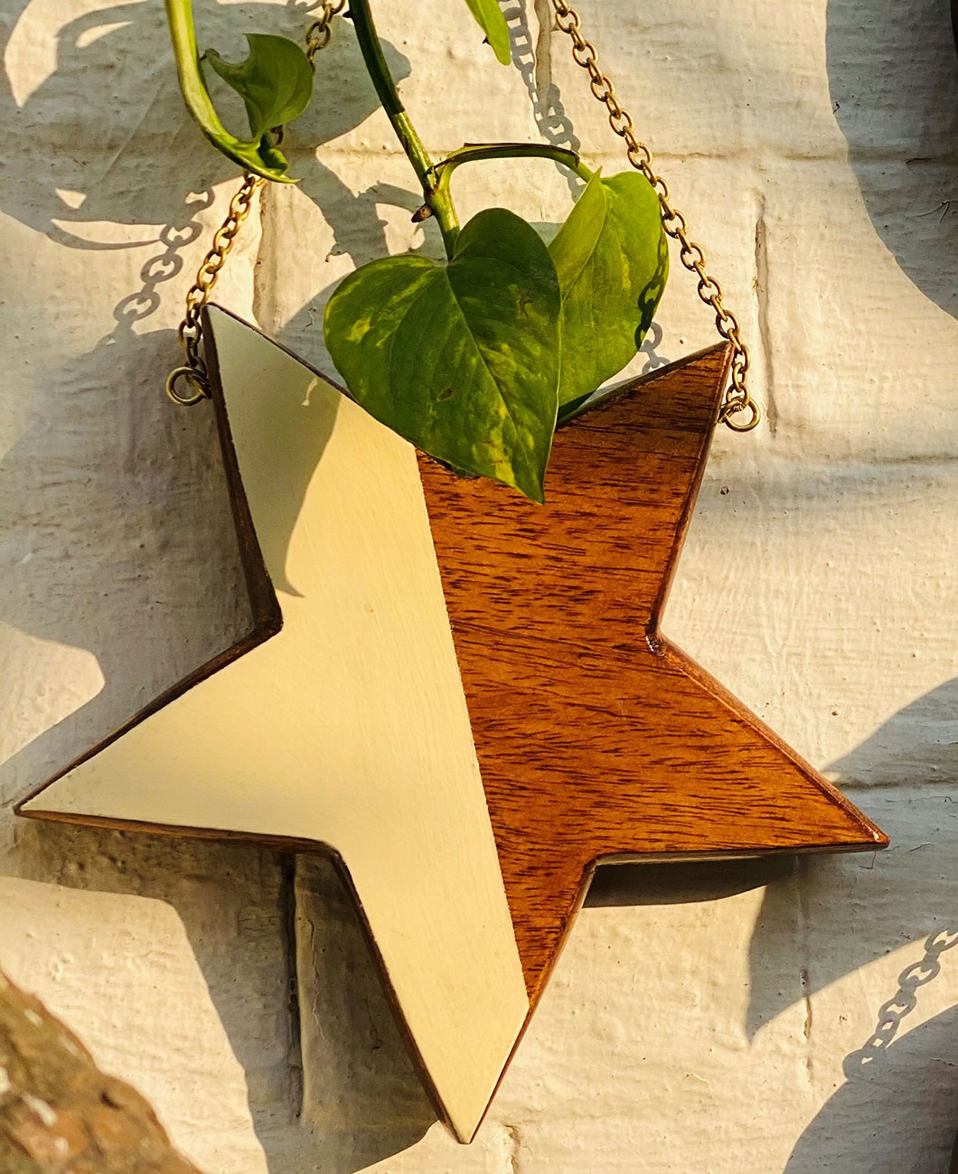 Handmade-Star-shaped-Wooden-Hanging-Planter-Cream-Line- Lucknow