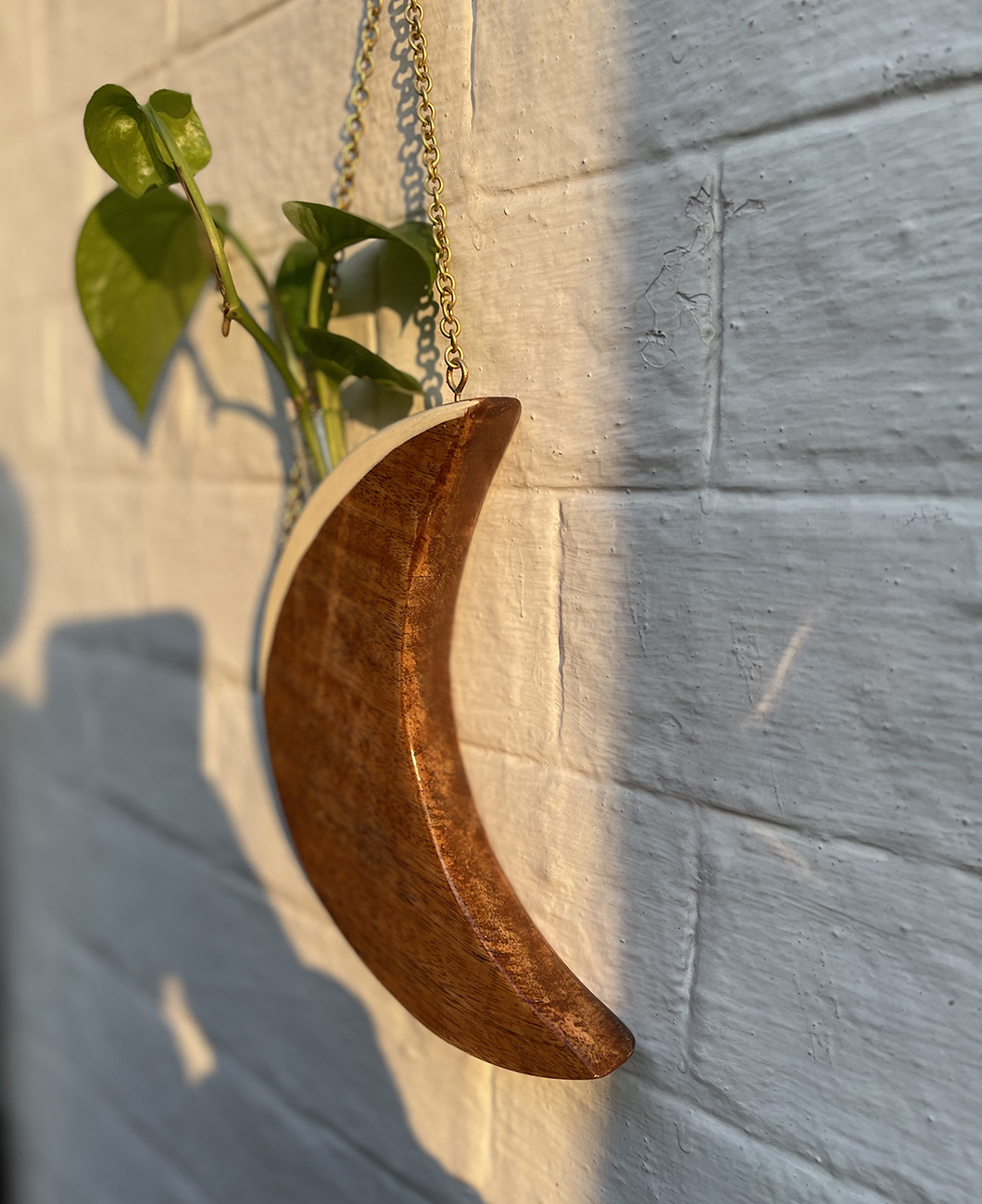 Handmade-Wooden-Hanging-Moon-shaped-Planter-2