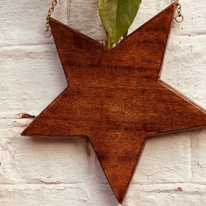 Handmade-Wooden-Hanging-Plain-Star-shaped-Planter-brio-lucknow