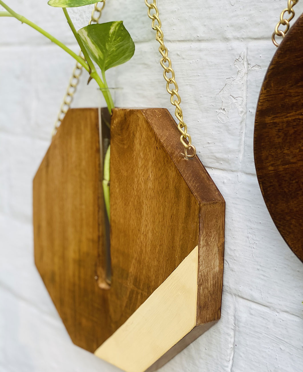 Octagen-Planter-Brio