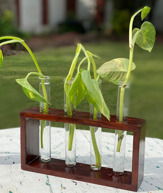 Handmade Wooden Table Planter (4 Plants)