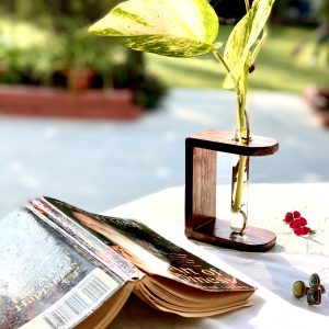 Wooden Table Planter Miniature Single Tube Desk Decor