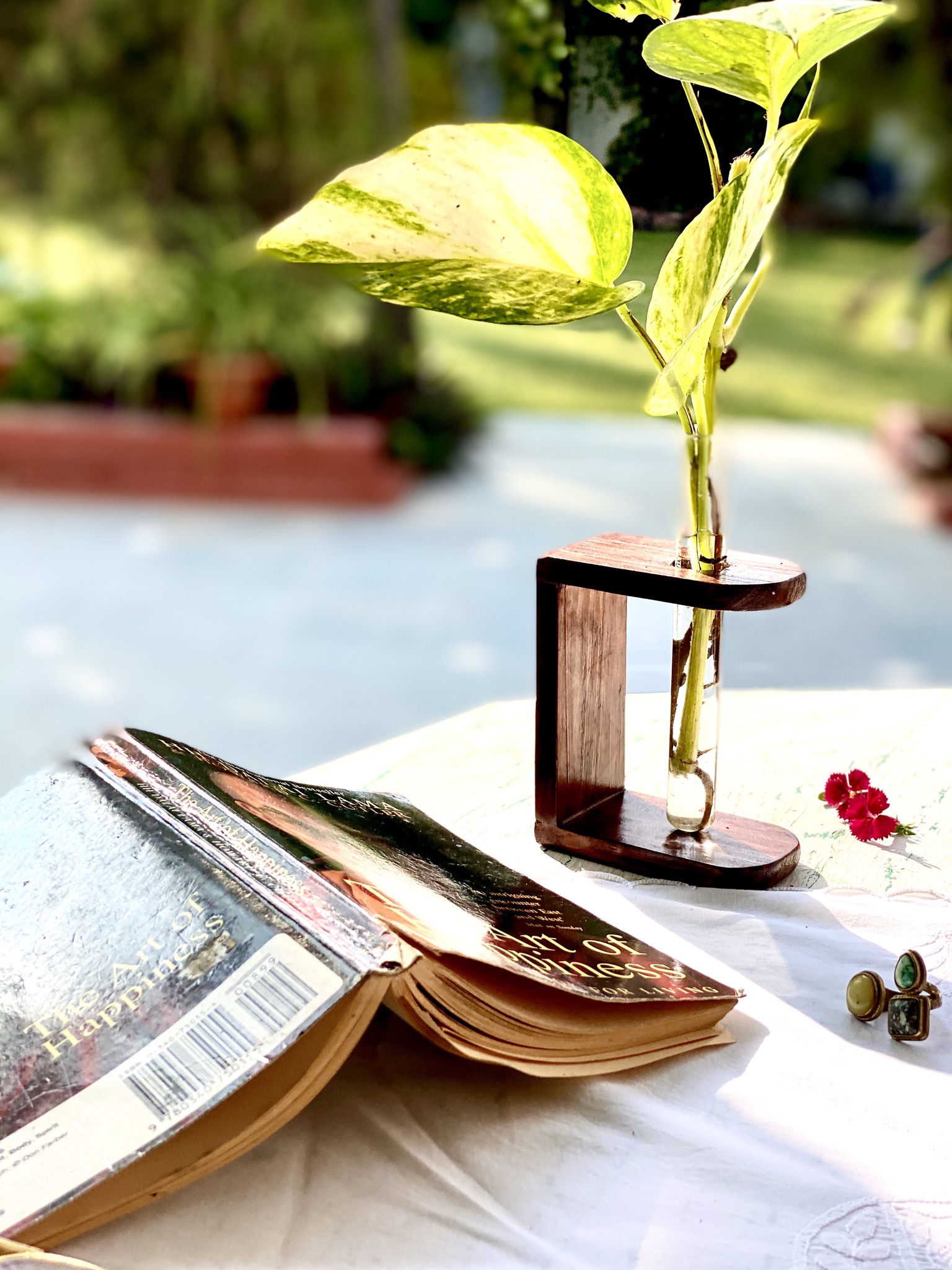 Wooden Table Planter Miniature Single Tube Desk Decor