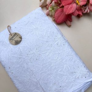 Tapchi Jaali Light Mukesh Work Saree