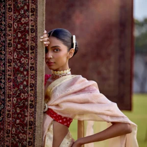 Blush Gold Tissue Saree