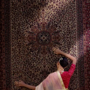 Blush Gold Tissue Saree