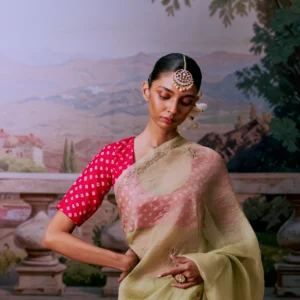 Light Green Aari Zardozi Organza Saree