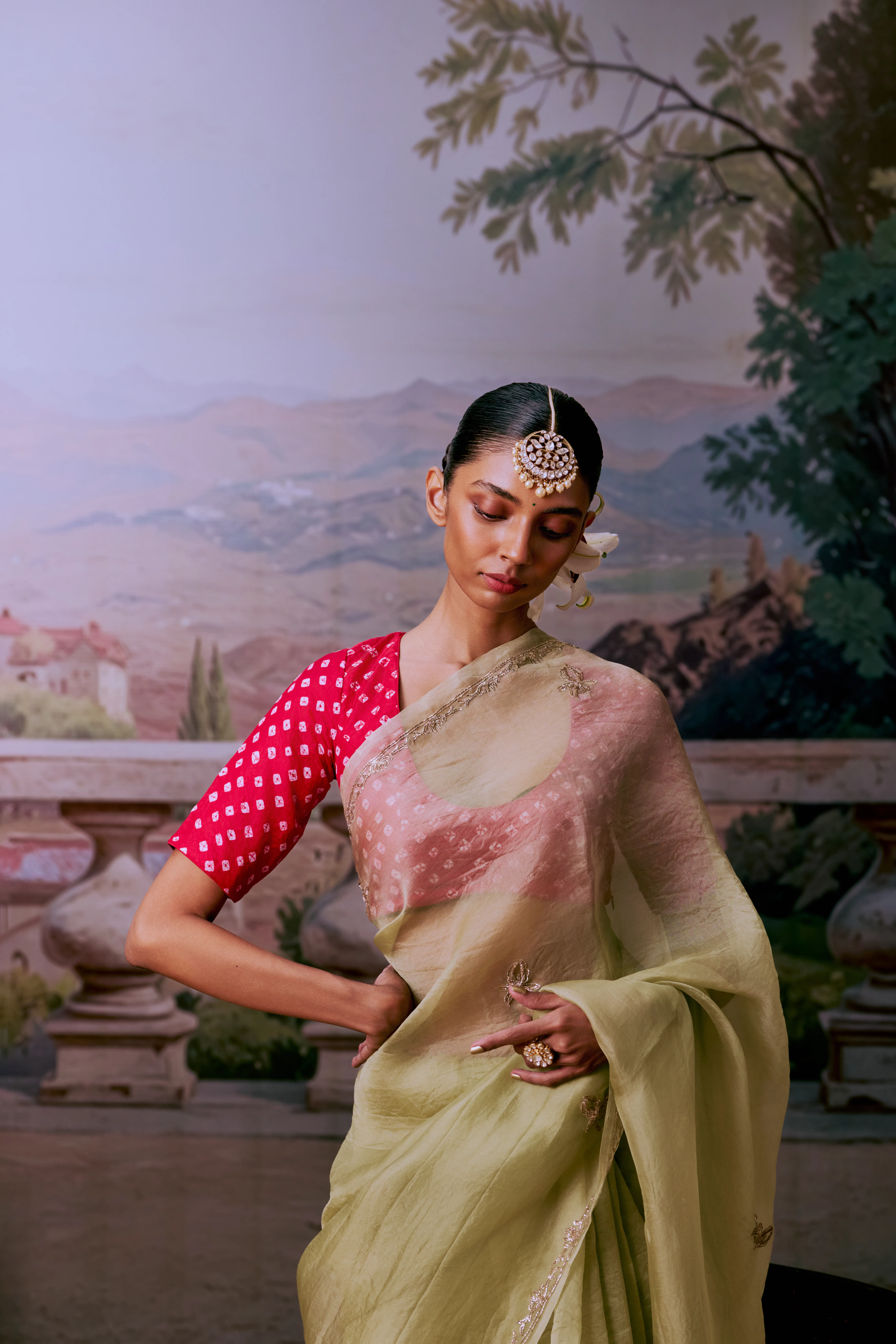 Light Green Aari Zardozi Organza Saree