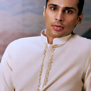 Royal Aari Zardozi Kurta