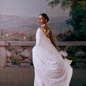 Chikankari Georgette Full Work Saree