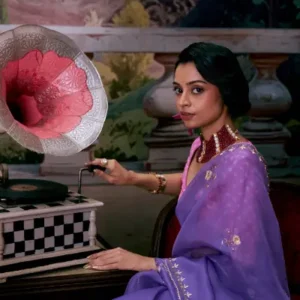 Amethyst Organza Saree